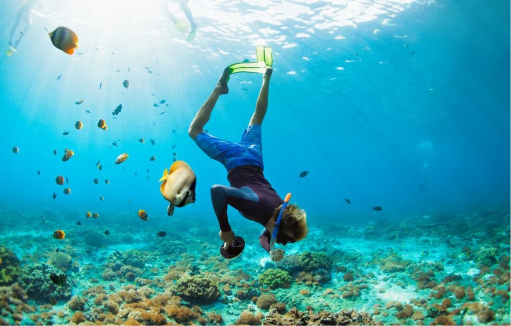 Your Ocean - Yomira's commitment to ocean conservation and sustainability