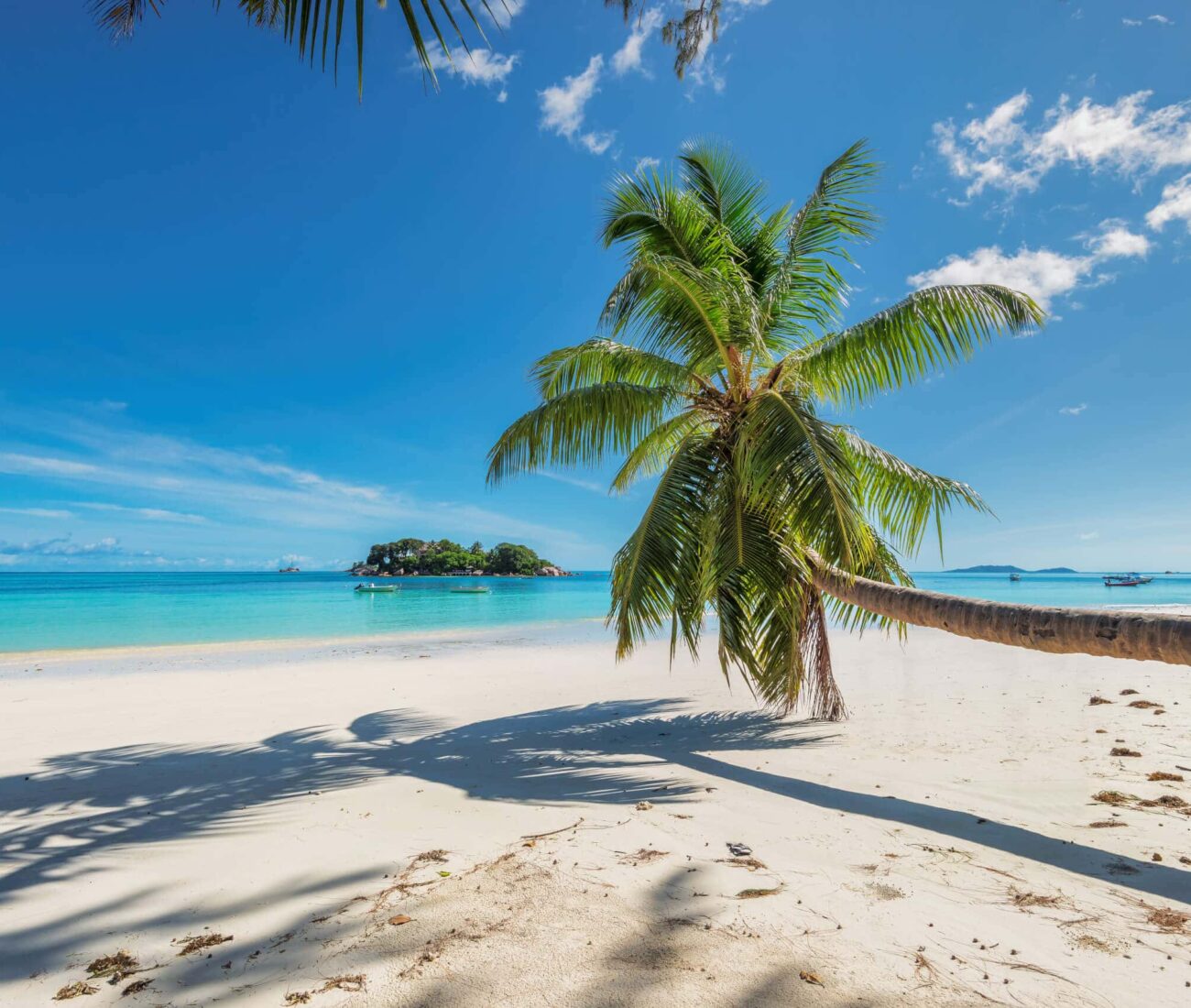 Tropical beach with palm trees, sea boats, blue sky, turquoise water and white sand.