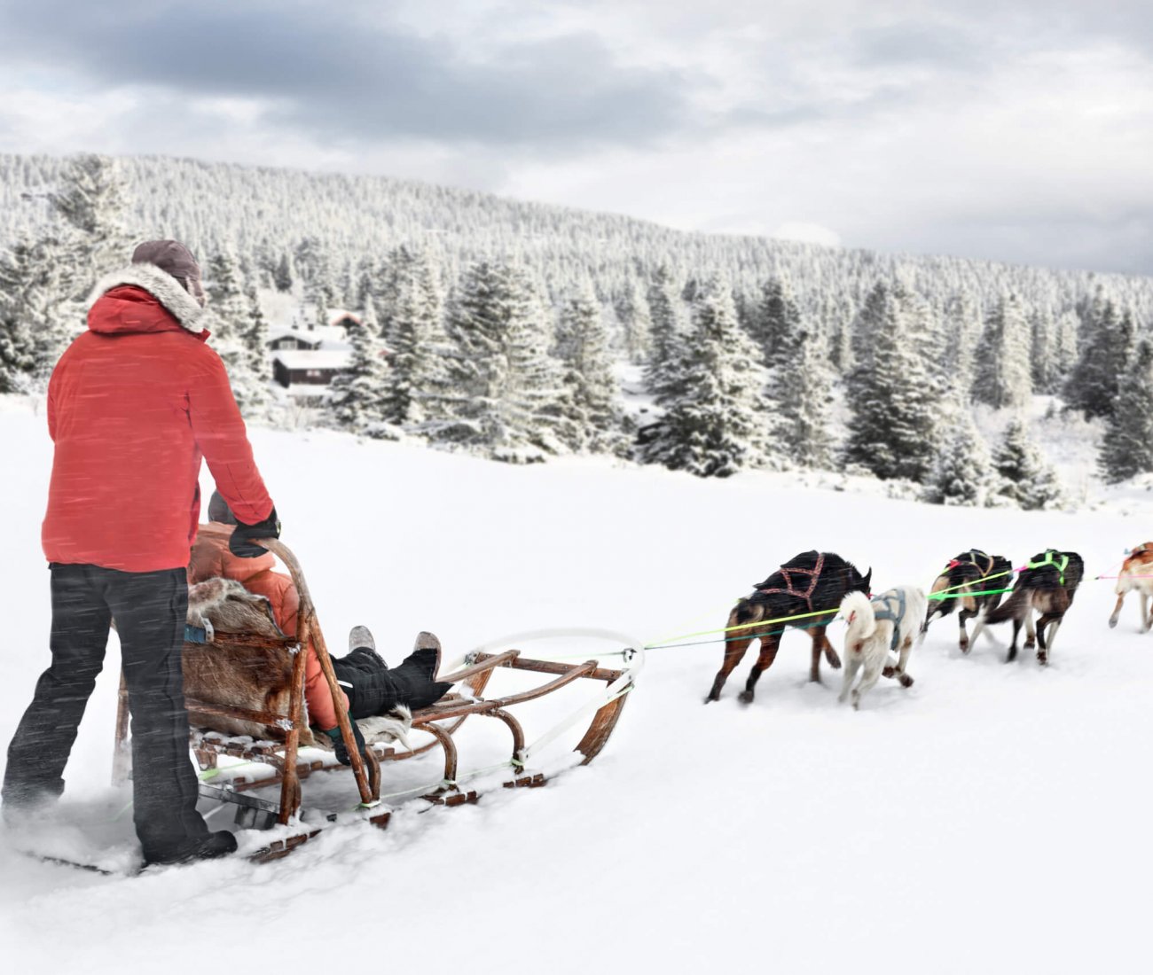 dog sledding in norway