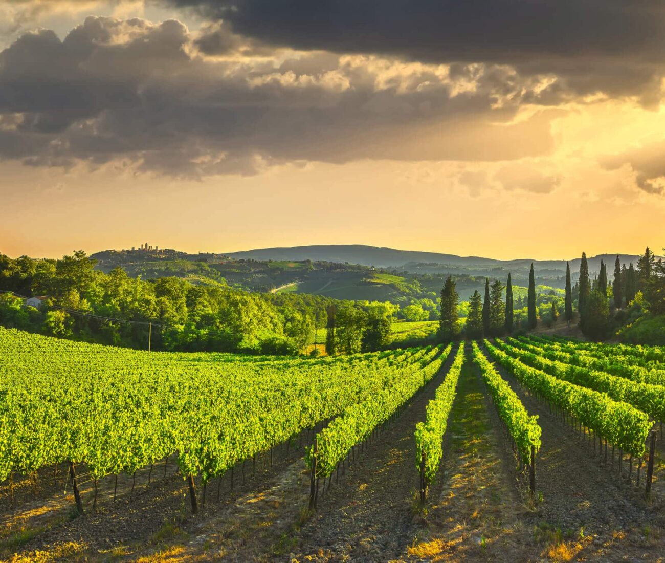 Vineyards countryside landscape panorama on sunrise. Tuscany, Italy, Europe. with a yomira superyacht charter