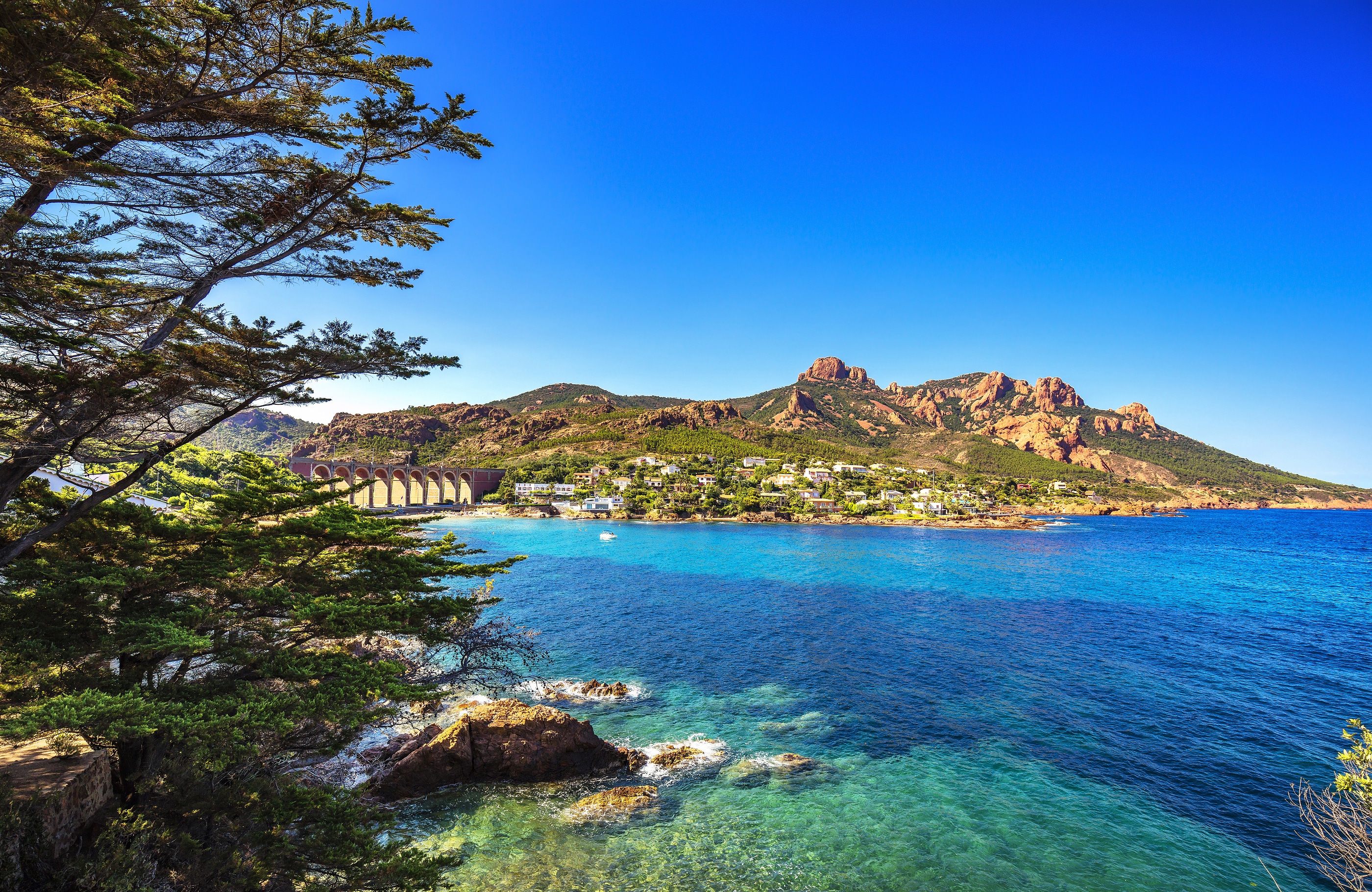 Esterel mediterranean red rocks coast beach tree and sea. superyacht charter French Riviera in Cote d Azur near Cannes Saint Raphael Provence France Europe.