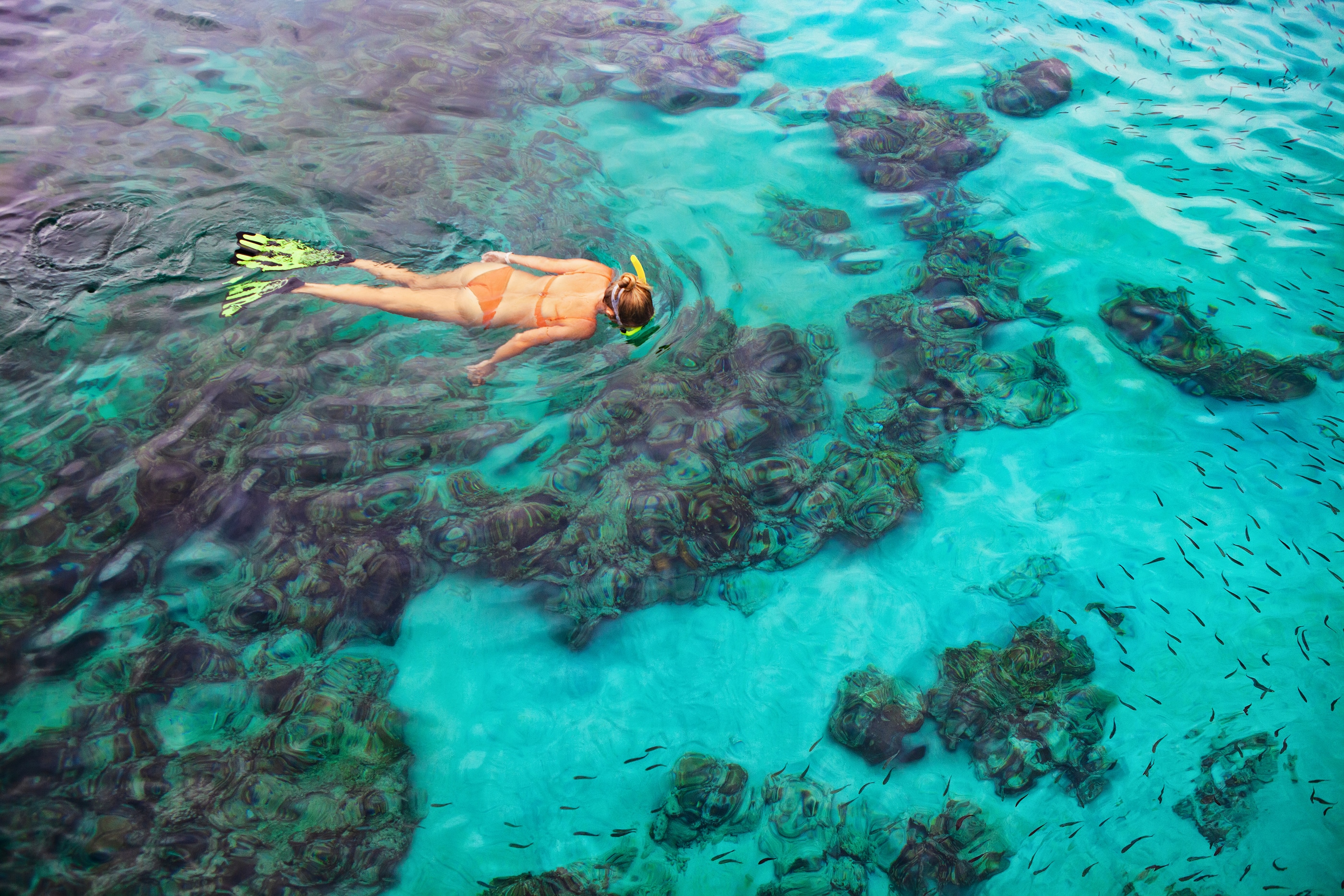 Happy Girl In Snorkeling Mask Dive Underwater With Tropical Fish