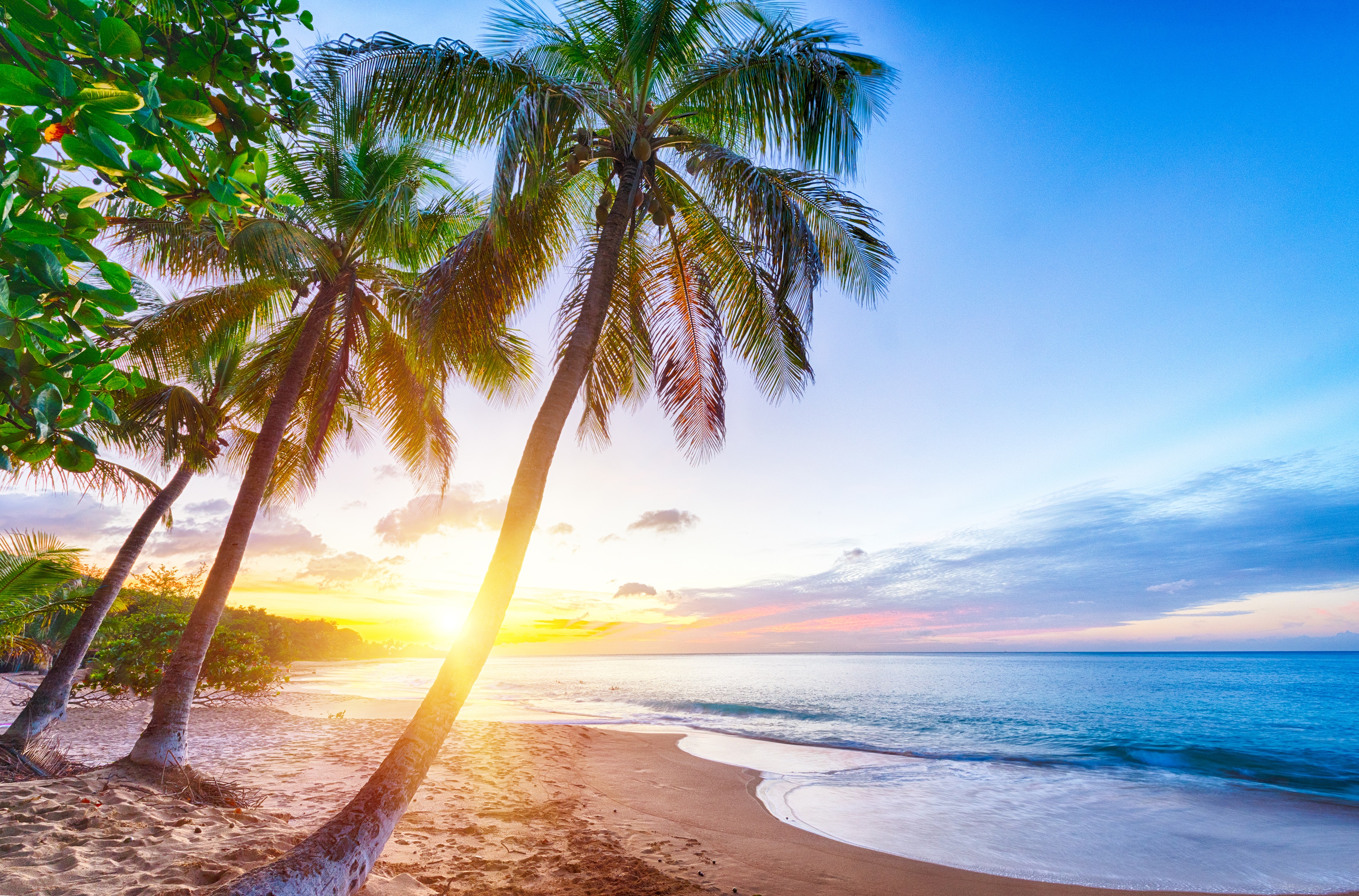 Sunset over Pearl beach (Plage de la Perle) beach near Deshaies, antigua yacht charter