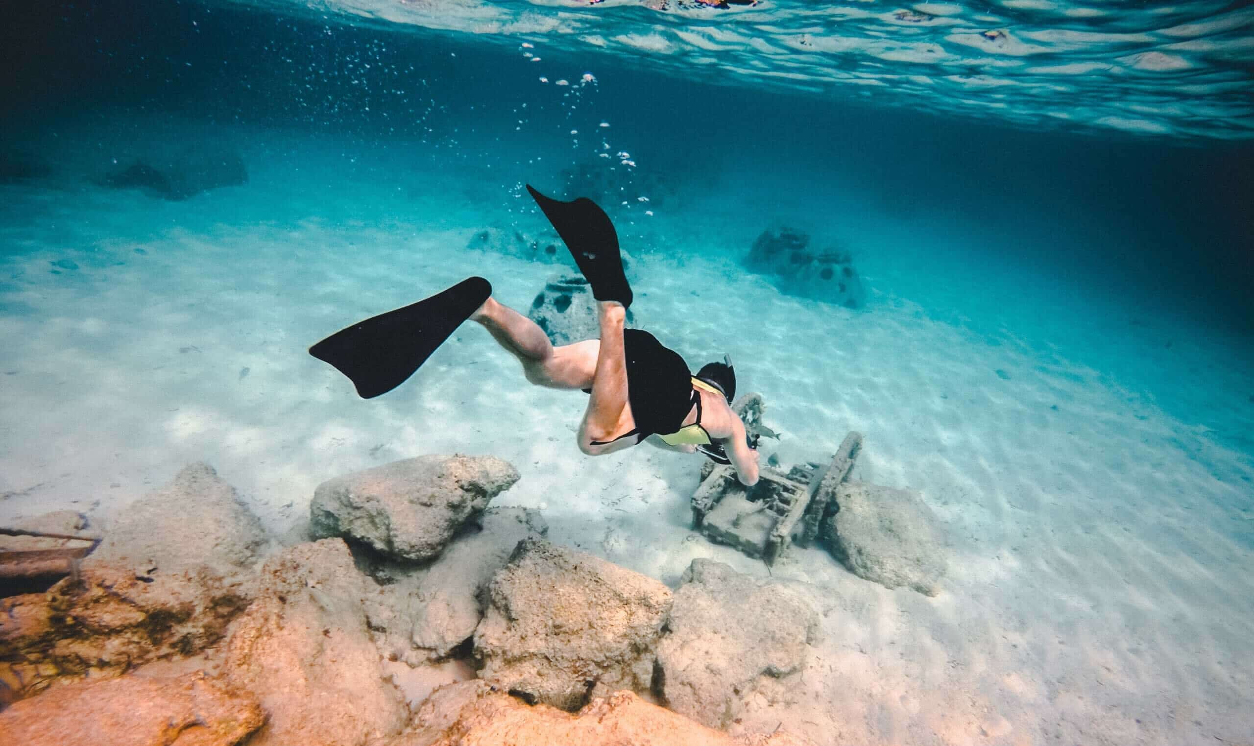 Diving in the Bahamas Iguanas superyacht charter