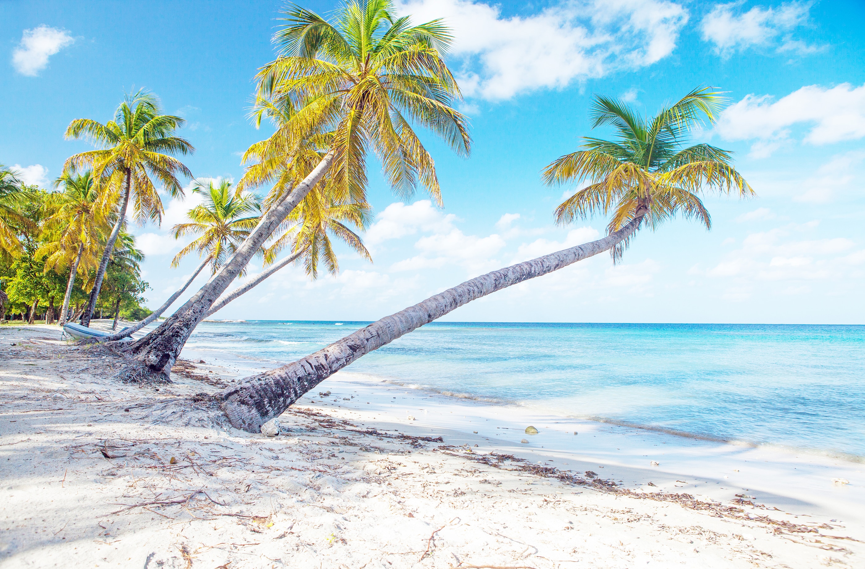 Caribbean Mustique Island one of the Grenadines tropical beach