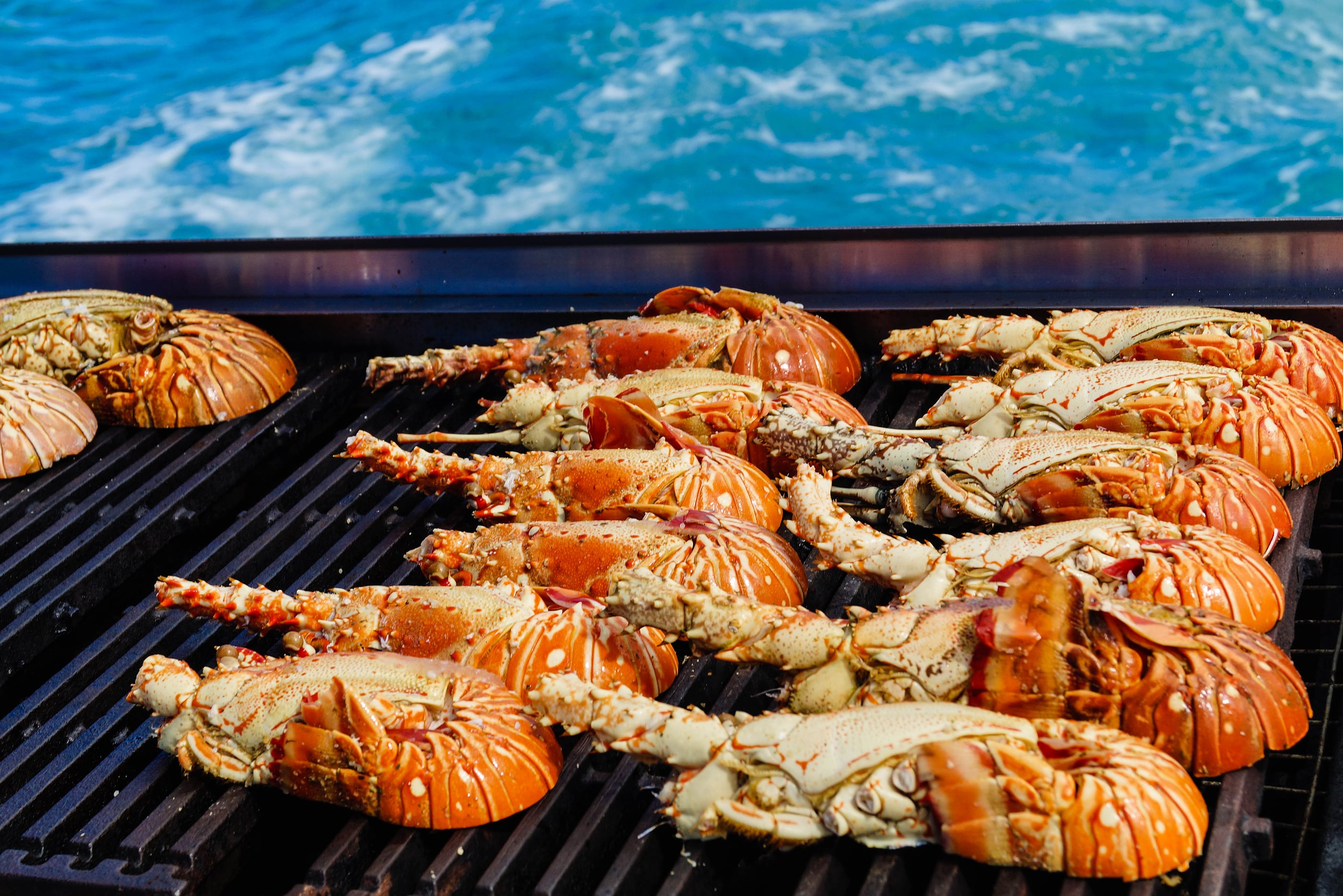 Fresh Grilled Crawfish Or Lobster On A Boat In The Caribbean Sea