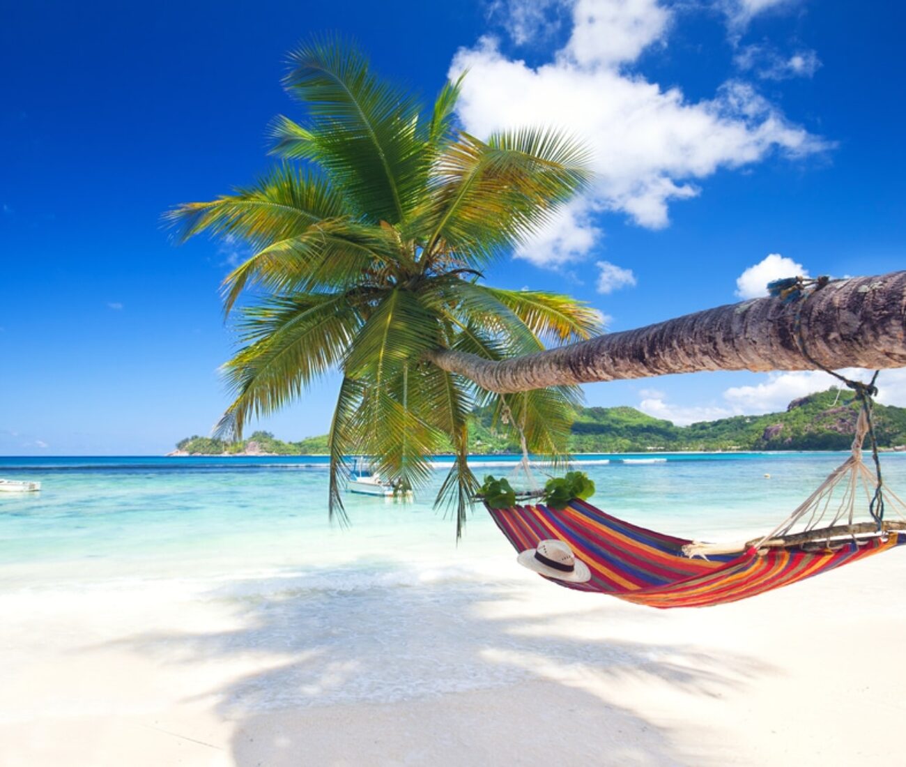 hammock on palm tree stretching over white sand leading on to turquoise water