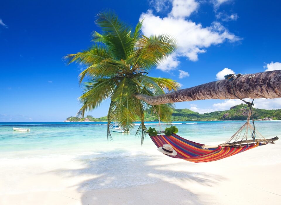 hammock on palm tree stretching over white sand leading on to turquoise water