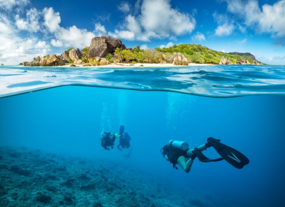scuba diving in the seychelles' blue water
