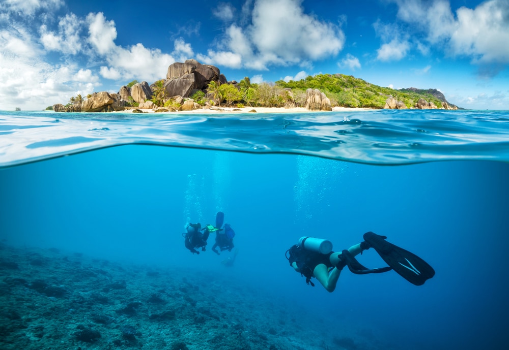 scuba diving in the seychelles' blue water
