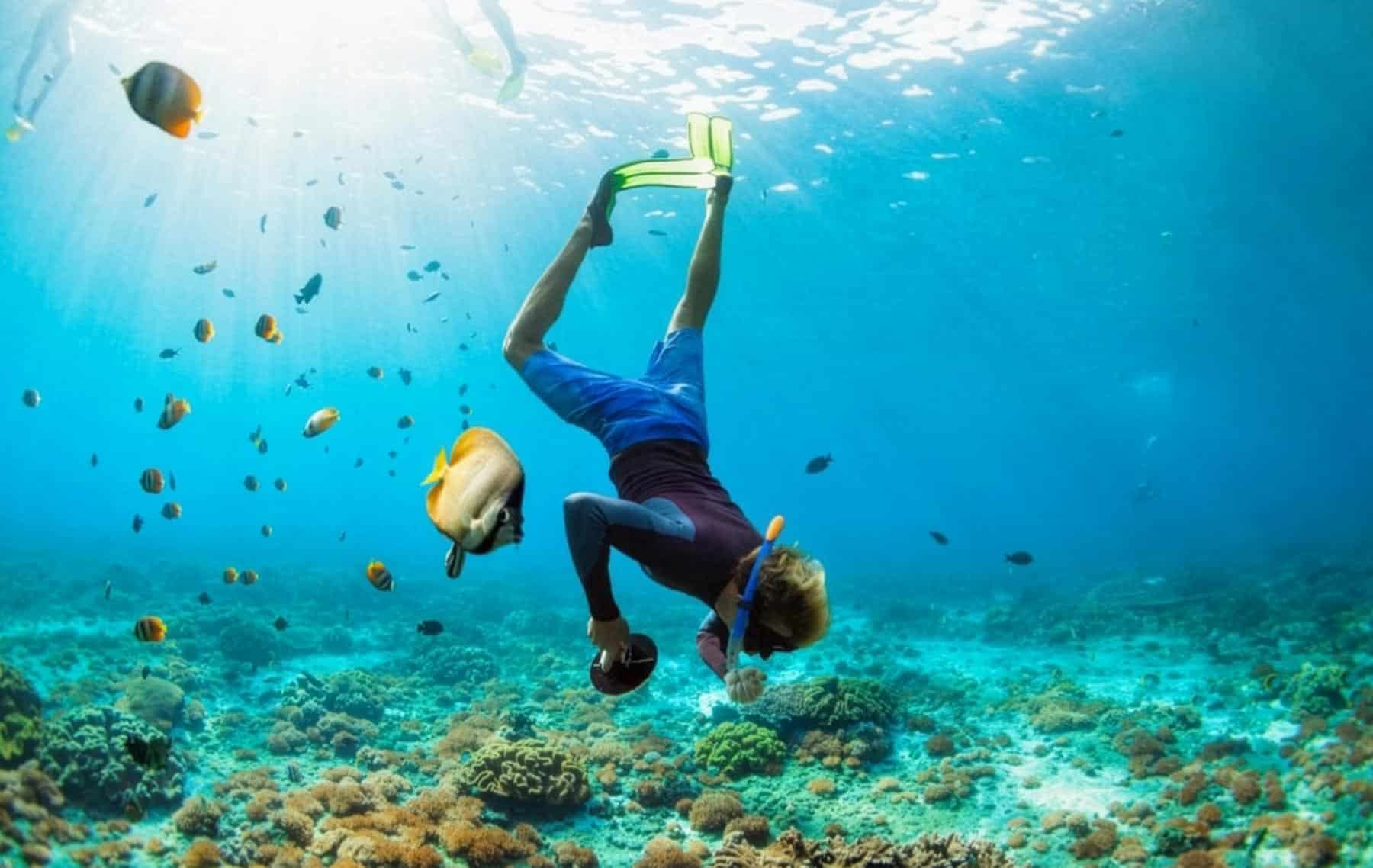Sustainability at Yomira with a focus on ocean conservation