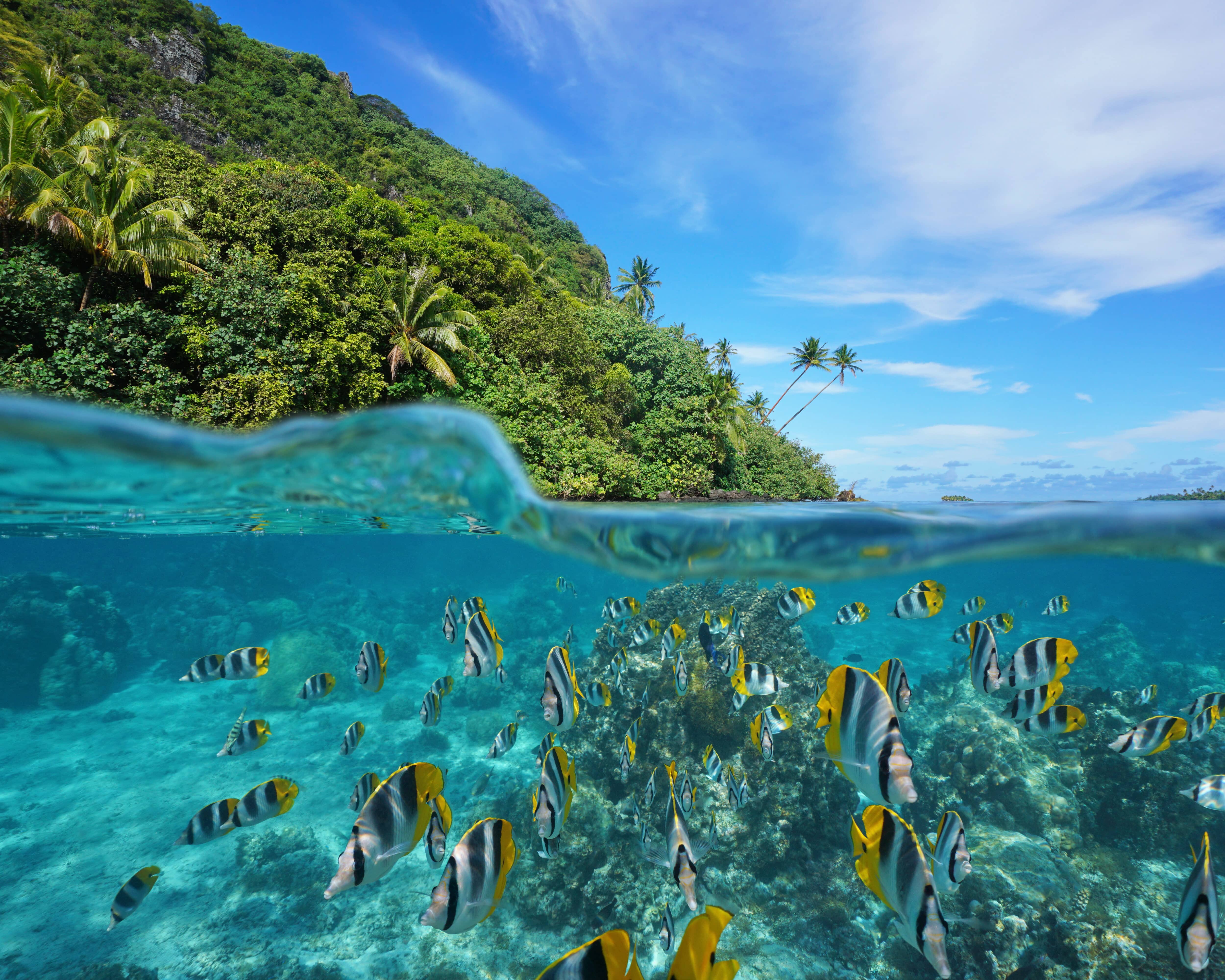Sustainability at Yomira with a focus on ocean conservation